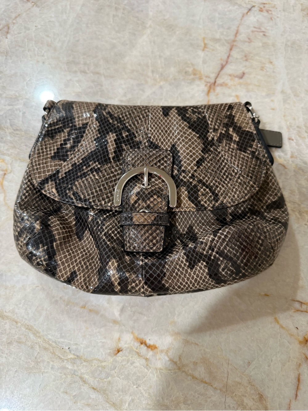 Coach Soho Exotic Python Mini Crossbody Bag F45648